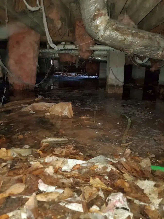 Crawl space flood assessment for Leak Detection & Repair in Ishpeming