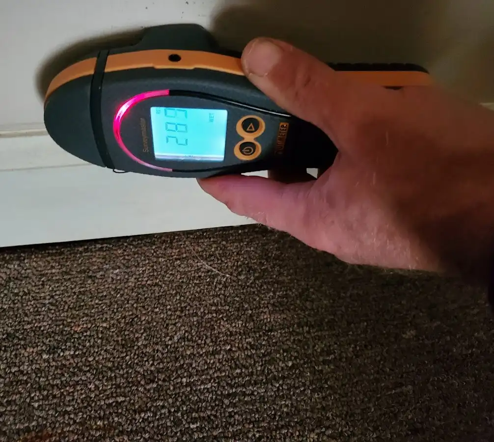 Moisture detection at baseboard during Burst Pipe Cleanup in Ishpeming
