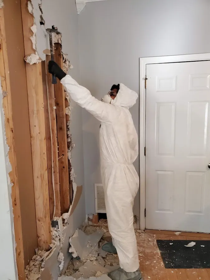 Water Damage Restoration services in Ishpeming, MI